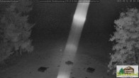 Archiv Foto Webcam Todtnauberg - Scheuermattwiese 01:00