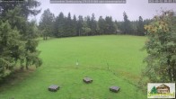 Archived image Webcam Todtnauberg - Scheuermatthof 08:00