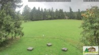 Archived image Webcam Todtnauberg - Scheuermatthof 11:00