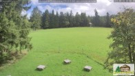 Archiv Foto Webcam Todtnauberg - Scheuermattwiese 13:00