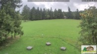 Archiv Foto Webcam Todtnauberg - Scheuermattwiese 15:00