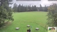 Archiv Foto Webcam Todtnauberg - Scheuermattwiese 17:00