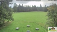 Archiv Foto Webcam Todtnauberg - Scheuermattwiese 07:00