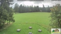 Archiv Foto Webcam Todtnauberg - Scheuermattwiese 08:00