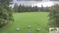 Archiv Foto Webcam Todtnauberg - Scheuermattwiese 13:00