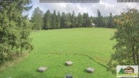 Archiv Foto Webcam Todtnauberg - Scheuermattwiese 15:00