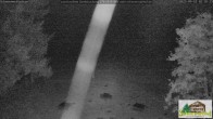 Archiv Foto Webcam Todtnauberg - Scheuermattwiese 01:00