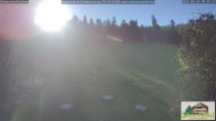 Archiv Foto Webcam Todtnauberg - Scheuermattwiese 08:00