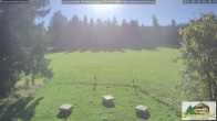 Archiv Foto Webcam Todtnauberg - Scheuermattwiese 09:00