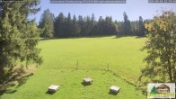 Archiv Foto Webcam Todtnauberg - Scheuermattwiese 11:00