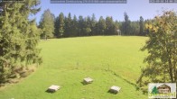 Archiv Foto Webcam Todtnauberg - Scheuermattwiese 13:00