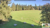 Archiv Foto Webcam Todtnauberg - Scheuermattwiese 17:00