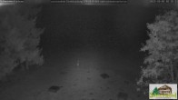 Archiv Foto Webcam Todtnauberg - Scheuermattwiese 01:00