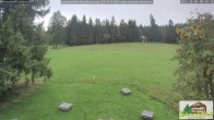 Archived image Webcam Todtnauberg - Scheuermatthof 08:00