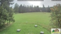 Archiv Foto Webcam Todtnauberg - Scheuermattwiese 09:00