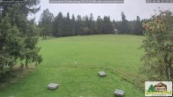 Archiv Foto Webcam Todtnauberg - Scheuermattwiese 11:00