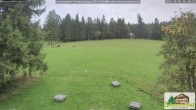Archiv Foto Webcam Todtnauberg - Scheuermattwiese 15:00