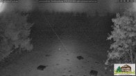 Archiv Foto Webcam Todtnauberg - Scheuermattwiese 01:00