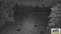 Archiv Foto Webcam Todtnauberg - Scheuermattwiese 23:00