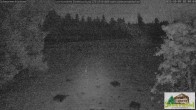 Archiv Foto Webcam Todtnauberg - Scheuermattwiese 01:00