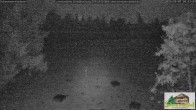 Archiv Foto Webcam Todtnauberg - Scheuermattwiese 03:00