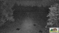 Archiv Foto Webcam Todtnauberg - Scheuermattwiese 05:00