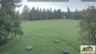 Archiv Foto Webcam Todtnauberg - Scheuermattwiese 07:00