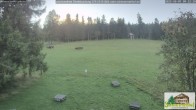 Archiv Foto Webcam Todtnauberg - Scheuermattwiese 08:00