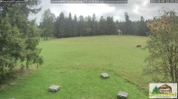 Archiv Foto Webcam Todtnauberg - Scheuermattwiese 11:00