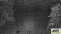 Archiv Foto Webcam Todtnauberg - Scheuermattwiese 01:00