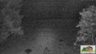 Archiv Foto Webcam Todtnauberg - Scheuermattwiese 03:00