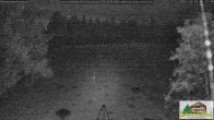 Archiv Foto Webcam Todtnauberg - Scheuermattwiese 05:00