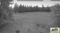 Archiv Foto Webcam Todtnauberg - Scheuermattwiese 06:00