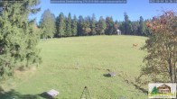 Archiv Foto Webcam Todtnauberg - Scheuermattwiese 15:00
