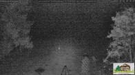 Archiv Foto Webcam Todtnauberg - Scheuermattwiese 19:00