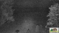 Archiv Foto Webcam Todtnauberg - Scheuermattwiese 01:00