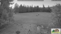 Archiv Foto Webcam Todtnauberg - Scheuermattwiese 06:00