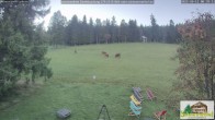 Archiv Foto Webcam Todtnauberg - Scheuermattwiese 07:00