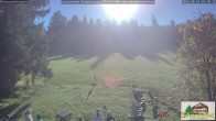 Archiv Foto Webcam Todtnauberg - Scheuermattwiese 09:00