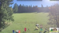 Archiv Foto Webcam Todtnauberg - Scheuermattwiese 11:00