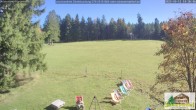 Archiv Foto Webcam Todtnauberg - Scheuermattwiese 13:00