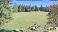 Archiv Foto Webcam Todtnauberg - Scheuermattwiese 15:00