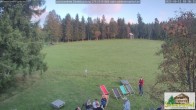 Archiv Foto Webcam Todtnauberg - Scheuermattwiese 17:00