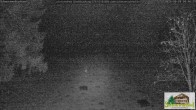 Archiv Foto Webcam Todtnauberg - Scheuermattwiese 03:00