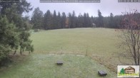 Archiv Foto Webcam Todtnauberg - Scheuermattwiese 07:00