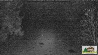 Archiv Foto Webcam Todtnauberg - Scheuermattwiese 03:00