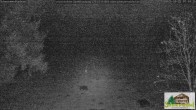 Archiv Foto Webcam Todtnauberg - Scheuermattwiese 06:00