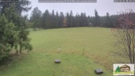 Archiv Foto Webcam Todtnauberg - Scheuermattwiese 07:00
