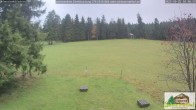Archiv Foto Webcam Todtnauberg - Scheuermattwiese 09:00