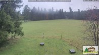 Archiv Foto Webcam Todtnauberg - Scheuermattwiese 13:00